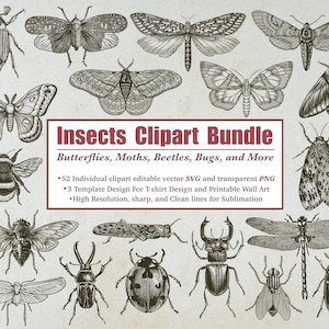 Może przedstawiać: Kolekcja szczegółowych ilustracji owadów, w tym motyli, moli, chrząszczy i pluskwiaków, w czerni i bieli. Obraz zawiera tekst „Insects Clipart Bundle” oraz szczegóły dotyczące dołączonych plików, takich jak formaty SVG i PNG.
