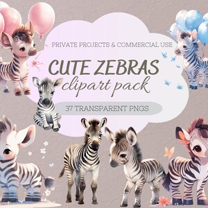 Aquarel Baby Zebra Clipart Bundel voor commercieel gebruik Aquarel Clipart voor kinderdagverblijf en Scrapbook Projecten Transparante PNGs 300DPI <