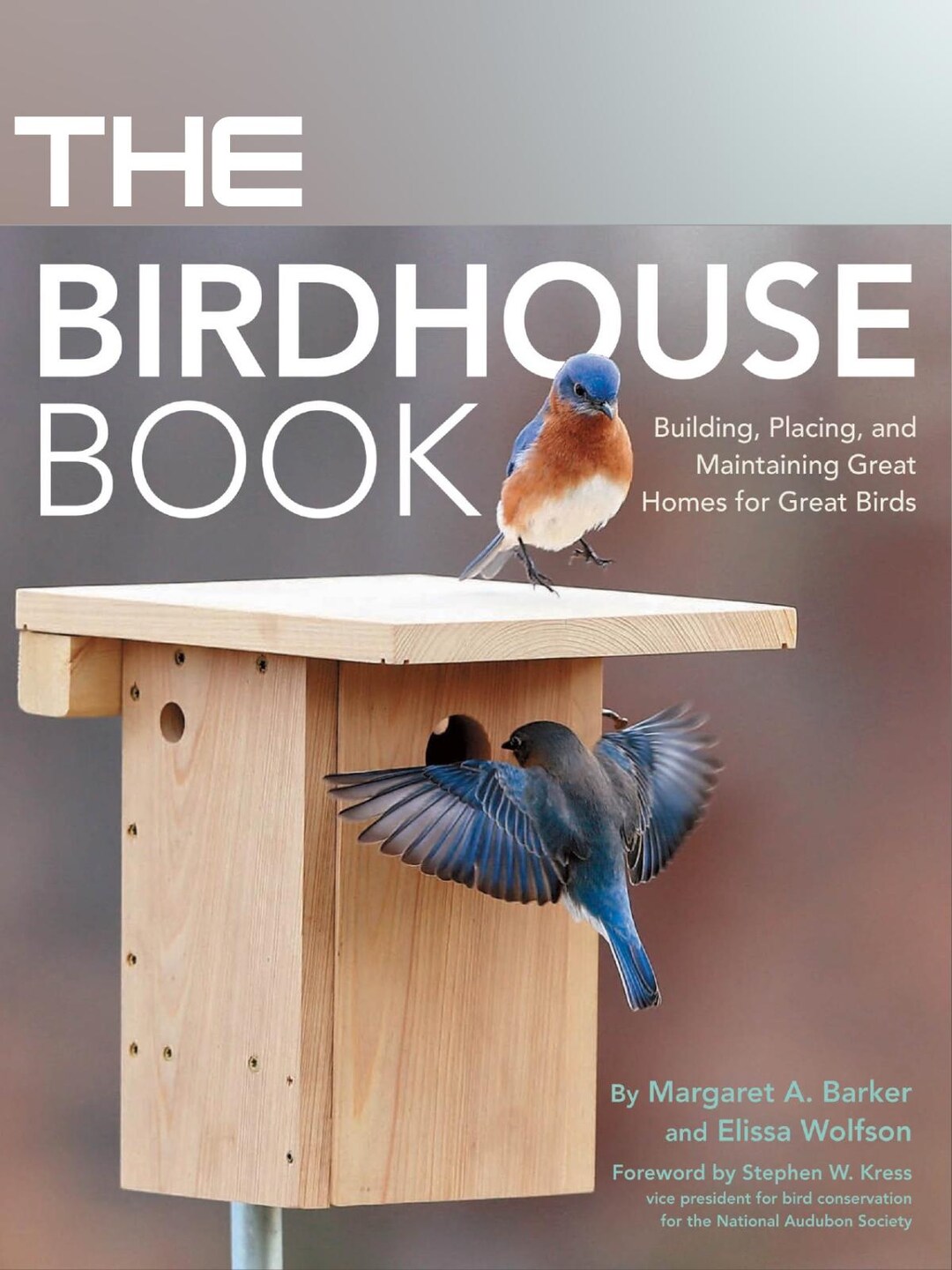 The Birdhouse Book: DIY Wooden Birdhouse Plans & Guide (PDF) - Etsy