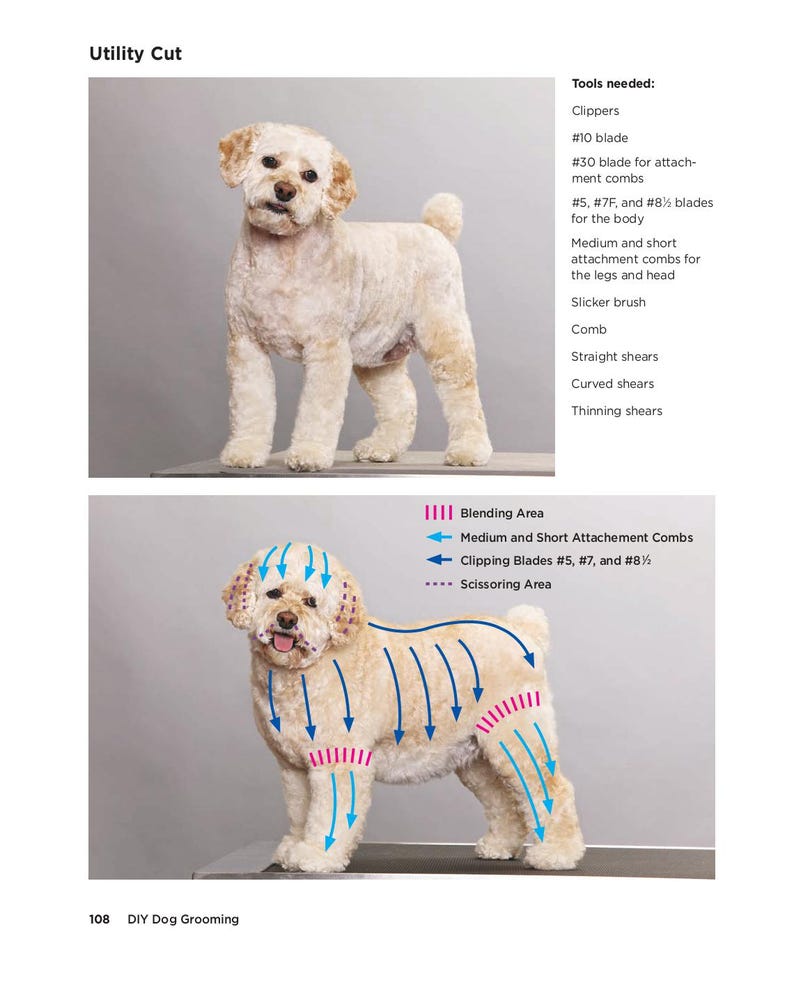Picture of DIY Dog Grooming: A Complete Step-by-step Guide for Pet Owners, Pet ...