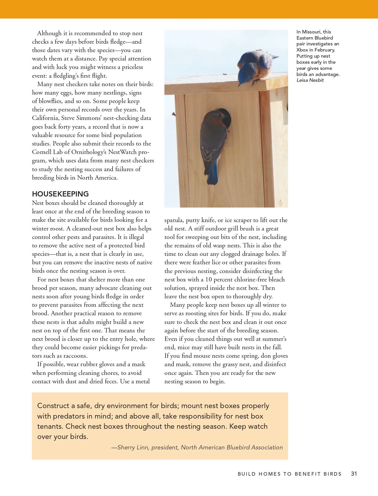 The Birdhouse Book: DIY Wooden Birdhouse Plans & Guide (PDF) - Etsy