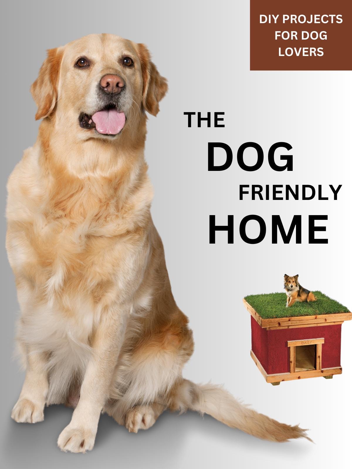 The Dog Friendly Home- DIY Projects for Dog Lovers, Doghouse, Dog
