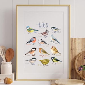 Arte mural de tetas, arte mural de pájaros únicos, arte impreso de tetas, póster de pájaros del bosque pequeños, póster de 5 tamaños, arte para amantes de los animales, arte mural de descarga instantánea