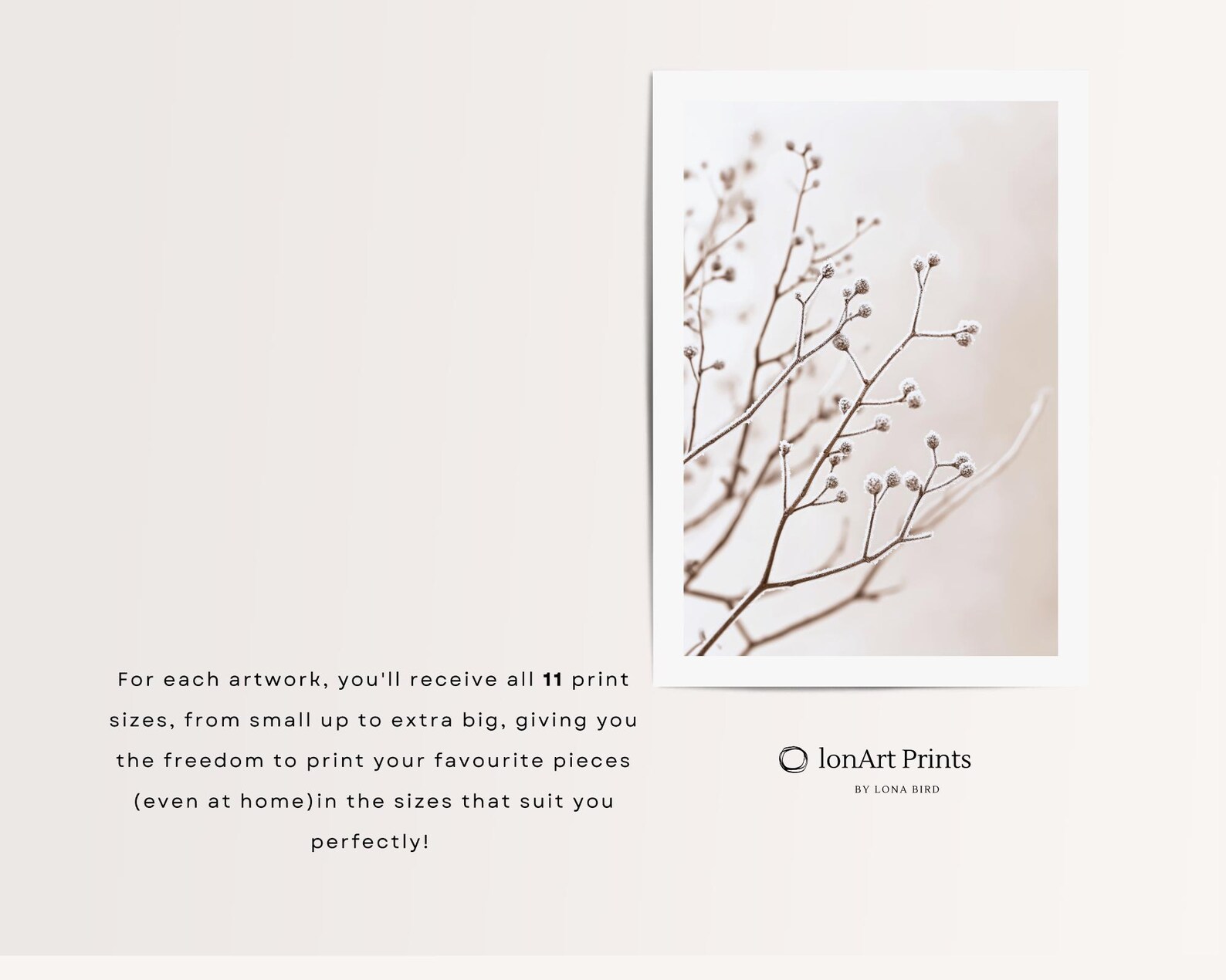 Photo inspiration: Visual Reference: Frosty Branches Photography Printable Winter Botanical Wall Decor
