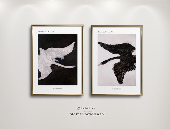Hilma Af Klint Black Swan, White Swan Digital Art Set, Diptych