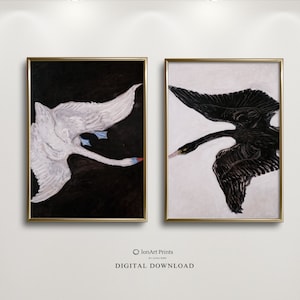 May include: Two framed prints of black and white swan paintings. The left print features a white swan flying against a black background. The right print features a black swan flying against a white background.