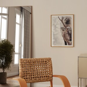 May include: A framed photograph of a deer with antlers in a snowy forest setting. The deer is looking to the left of the frame. The photo is hanging on a light beige wall.
