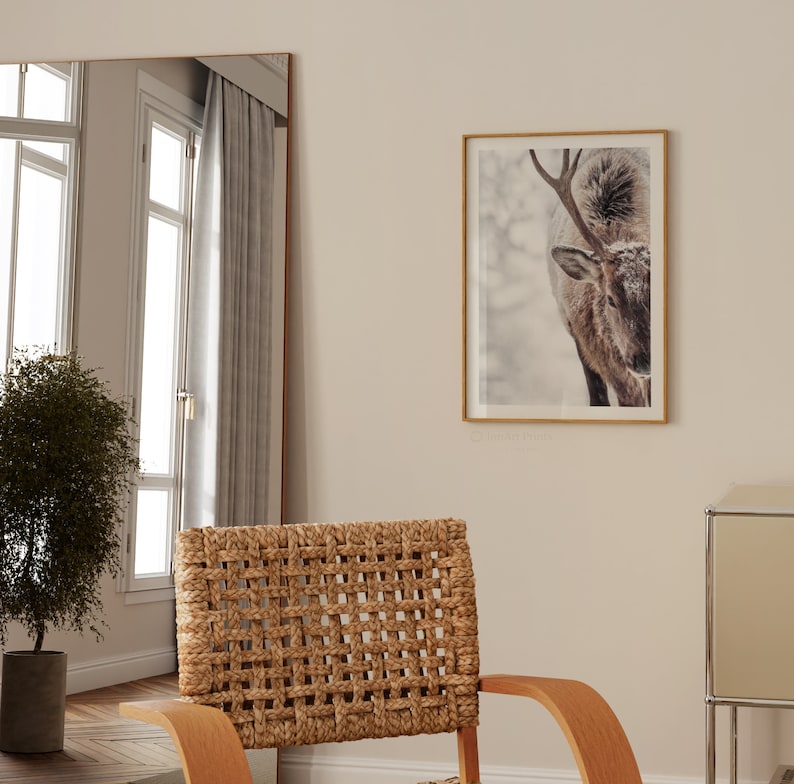 May include: A framed photograph of a deer with antlers in a snowy forest setting. The deer is looking to the left of the frame. The photo is hanging on a light beige wall.
