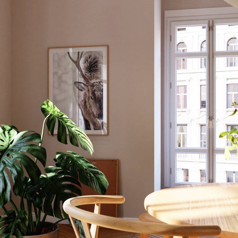 May include: A framed print of a deer with antlers, hanging on a pale pink wall in a room with a large window and a potted plant.