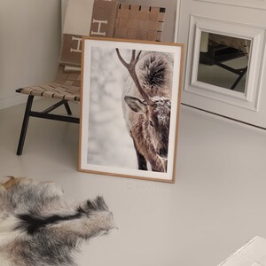 May include: A framed print of a close-up of a brown and white elk with antlers in a snowy setting.