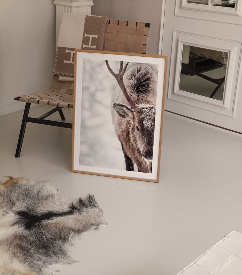 May include: A framed print of a close-up of a brown and white elk with antlers in a snowy setting.