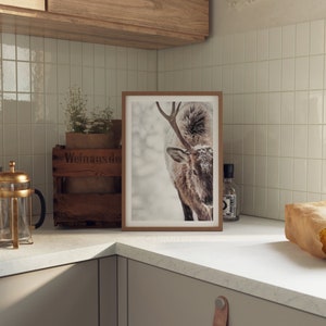 May include: A framed print of a brown and white deer with antlers in a snowy setting. The print is hanging on a white tiled wall in a kitchen.