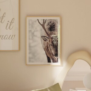 May include: A close-up of a brown and white deer with antlers standing in a snowy forest. The deer is looking down at the ground. The image is in a gold frame.
