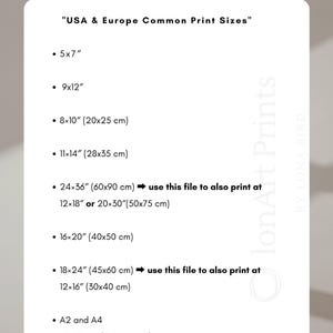 Puede incluir: Una tarjeta informativa blanca con texto negro titulada File sizes you will receive y USA & Europe Common Print Sizes. Enumera varias dimensiones en pulgadas y cent&iacute;metros, incluyendo 5x7, 9x12, 8x10, 11x14, 24x36, 16x20, 18x24, A2, A4, 50x70 cm y 70x100 cm.