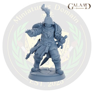 Könnte beinhalten: Eine graue Plastik-Miniaturfigur eines Ritters, der eine Rüstung trägt und ein Schwert hält. Der Ritter steht auf einem runden Sockel mit dem Text "EST. 2023" darauf. Die Miniatur ist Teil eines Sets von Miniaturen für Tabletop-Spiele.