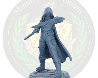Assassin with daggers Rogue Human Female Galaad | Miniature Dungeons and Dragons DnD Tabletop Miniature Mini Painting RPG