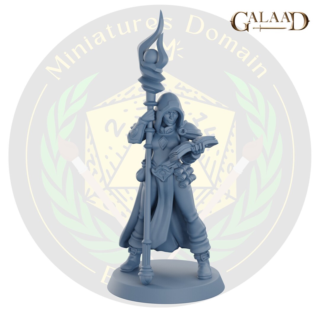 Female Mage Wizard Sorcerer Galaad | Miniature Dungeons and Dragons Dnd ...