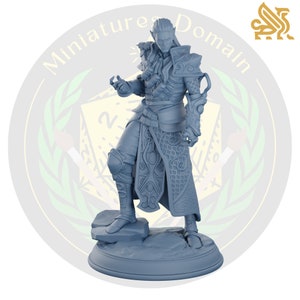 Netros Elf Sorcerer Artificer DMS | Miniature Dungeons and Dragons DnD Tabletop Miniature Mini Painting RPG