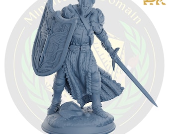 Caedes Human Fighter DMS / Mazmorras y dragones en miniatura DnD Mesa Miniatura Mini Pintura RPG