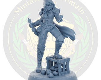 Guild thief assassin Human Rogue Female Galaad | Miniature Dungeons and Dragons DnD Tabletop Miniature Mini Painting RPG