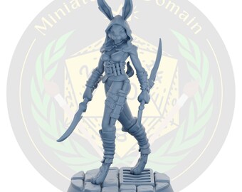 Rabbit assassin Beastfolk Rogue Female Galaad | Miniature Dungeons and Dragons DnD Tabletop Miniature Mini Painting RPG