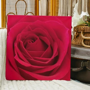 Red Rose Photo on Canvas Wall Art, Vibrant Floral Square Canvas, Delicate Rose Petals Wall decor, Nature Photography, Red Rose Photo