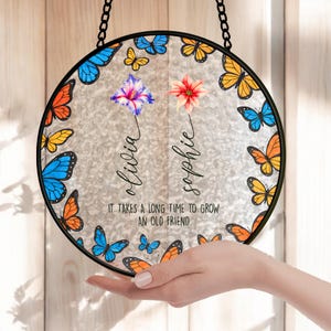 Custom Soul Sisters Gift, Best Friends Stained Glass- It Takes A Long Time To Grow An Old Friend Suncatcher, , Birth Month Flower Glass, T4