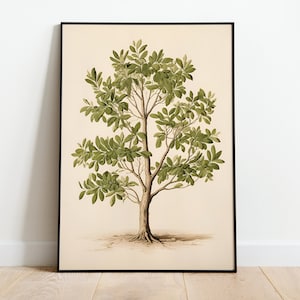 Vintage Tree Drawing, Vintage Botanical Wall Art, Printable download, Farmhouse Digital Print