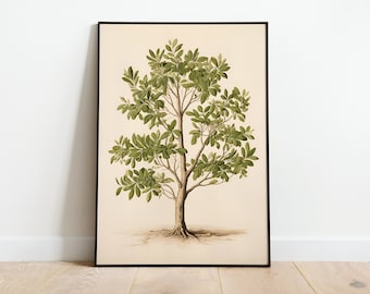 Vintage Tree Drawing, Vintage Botanical Wall Art, Printable download, Farmhouse Digital Print