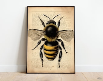 Printable Bee Art, Vintage Bee Sketch, Farmhouse Digital Print, Printable Wall Art