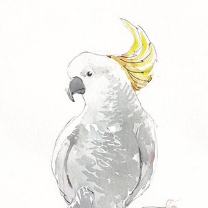 オウム | 鳥類 | ファインアートプリント
