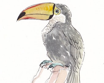 Toucan | Birds | Tropical Birds | Fine Art Print