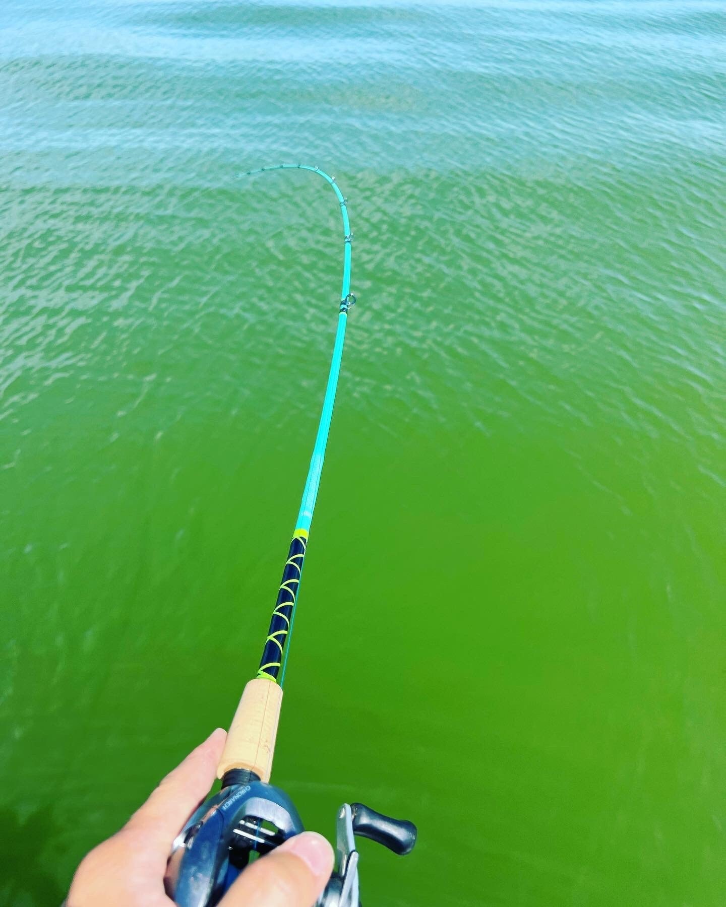 Custom Personalized Fishing Rods Etsy