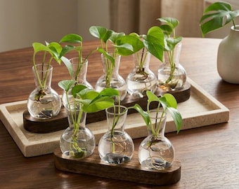 Glazen hydrocultuurkweekstation | Vazen met 3 of 5 bollen | Bewortelingsset voor stekjes | Bureaubladdecoratie voor binnen | Cadeau voor thuiskantoor