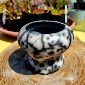 Peut inclure: Un petit pot en céramique blanche avec des taches noires et une base large et ronde. Le pot est posé sur une surface en bois.