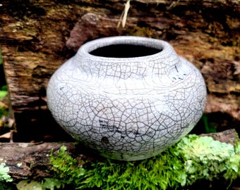 vaso de plantas suculentas, bonsai, cerâmica 《aiolï》