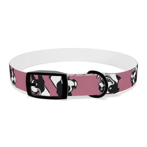 Boston Terrier Dog Collar