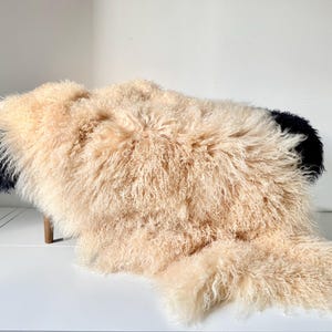 Luxurious Mongolian fur throw / bed duster / chair cover / display / accent piece - premium Tibetan curly sheepskin Crème Caramel - Large