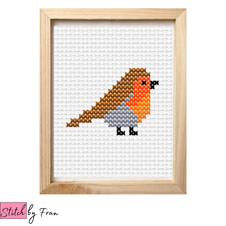 Robin Needlepoint Pattern Mini Robin Cross Stitch Pattern - Easy Embroidery for Beginners - Robin ...