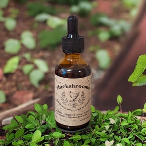 May include: A brown glass bottle with a black dropper top, labeled "cluckshrooms." The label features a chicken illustration and text indicating a mushroom supplement. The bottle is surrounded by green foliage.