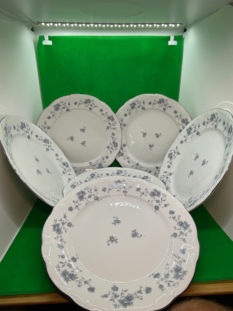 Johann Haviland Bavaria Germany Dinner Plates Blue Garland Etsy