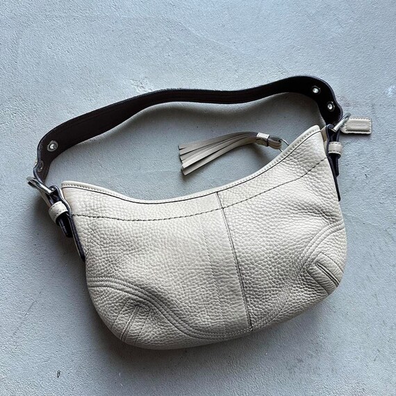 Coach tan hobo bag outlet