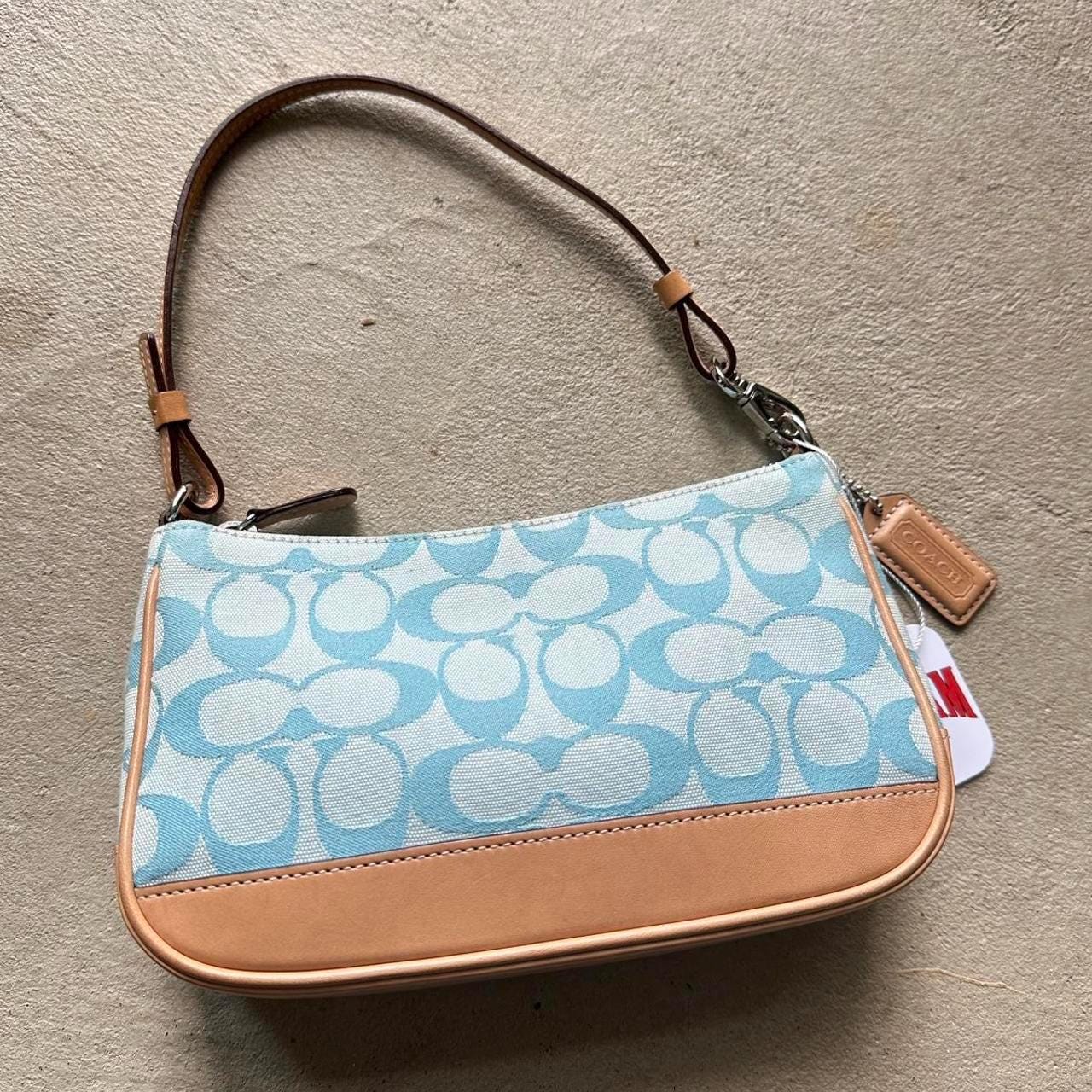 Y2k Coach - Etsy Canada