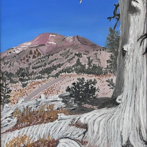 South Sisters climb with Ghost Tree.  16” by 20” Original Oil on Canvas; Bend, OR scenery!