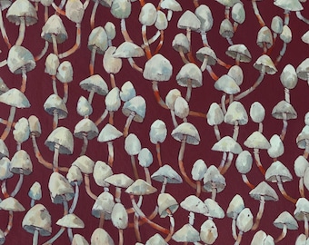 Danum Valley Mushrooms. Limited Edition Signed Giclée Print (A3)