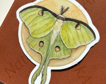 Luna Moth & Moon | Luna Moth | Vinyl Sticker | Die-cut Sticker | OrbeckOriginals