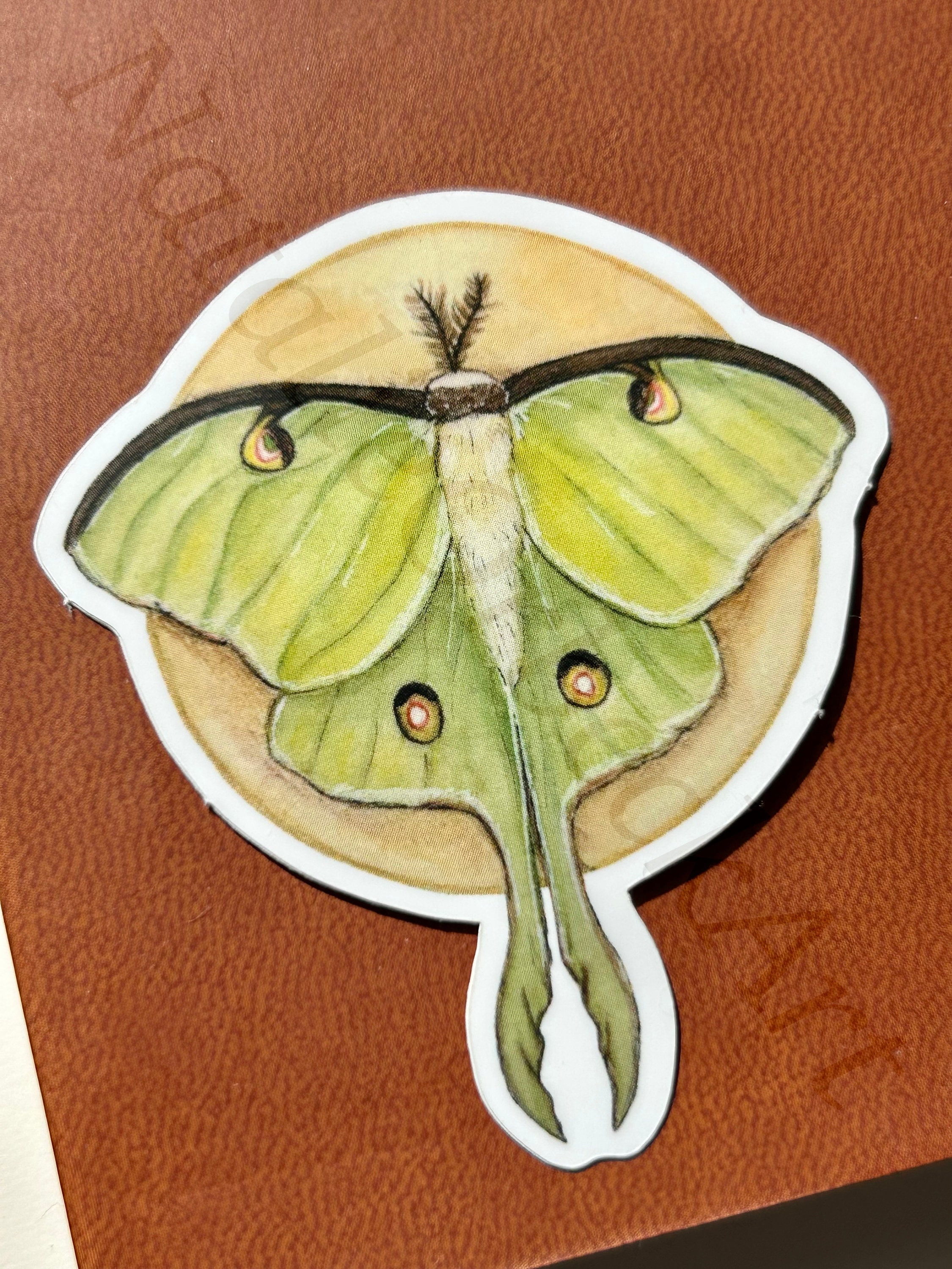 Luna Moth & Moon | Luna Moth | Vinyl Sticker | Die-cut Sticker ...