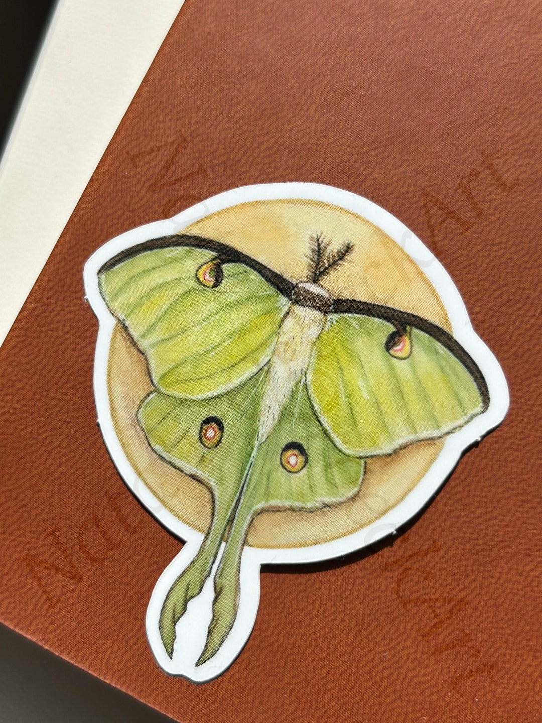 Luna Moth & Moon | Luna Moth | Vinyl Sticker | Die-cut Sticker ...