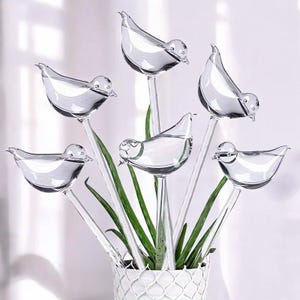 Self watering bird globe set, Plant Watering Globes, Bird shaped self watering globe, Home garden tools, House Plants