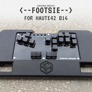May include: A black plastic controller with a black and white button layout. The controller has a black and white logo that says "HAUTE BOARD" and the text "CHEATBOX_PROJECT <-- FOOTSE -- > FOR HAUTE42 B16".